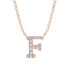 Diamond Gold Initial Necklace - F